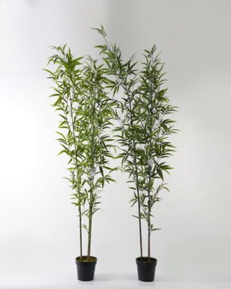 Artificial Tree 86*86*235cm Bamboo *3 in PP pot/868 lvs GS-71023001-KD Tree&Plant 3,000+ sqm showroom with thousands of artificial flowers, plants & trees ready for global sourcing.