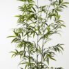 Artificial Tree Bamboo 3 in PP pot 868 lvs GS-71023001-KD_2 Artificial Tree 86*86*235cm Bamboo *3 in PP pot/868 lvs GS-71023001-KD Tree&Plant YeahFlower is one of Chinese leading OEM manufacturers and exporters , supplying the silk flowers, wholesale artificial trees