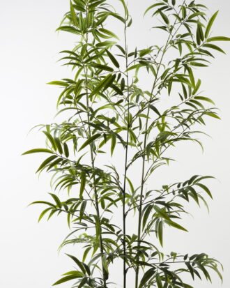 Artificial Tree 86*86*235cm Bamboo *3 in PP pot/868 lvs GS-71023001-KD Tree&Plant 3,000+ sqm showroom with thousands of artificial flowers, plants & trees ready for global sourcing.