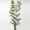 Artificial Tree Bamboo 3 in PP pot 868 lvs GS-71023001-KD_3 Artificial Tree 86*86*235cm Bamboo *3 in PP pot/868 lvs GS-71023001-KD Tree&Plant YeahFlower is one of Chinese leading OEM manufacturers and exporters , supplying the silk flowers, wholesale artificial trees