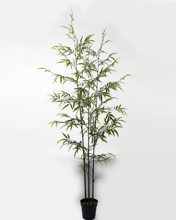 Artificial Tree Bamboo 3 in PP pot 868 lvs GS-71023001-KD_4 Artificial Tree 86*86*235cm Bamboo *3 in PP pot/868 lvs GS-71023001-KD Tree&Plant YeahFlower is one of Chinese leading OEM manufacturers and exporters , supplying the silk flowers, wholesale artificial trees