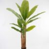 Artificial Tree 53*53*190cm Banana tree *3 in PP pot/18 lvs GS-30423080 Tree&Plant YeahFlower is one of Chinese leading OEM manufacturers and exporters , supplying the silk flowers, wholesale artificial trees