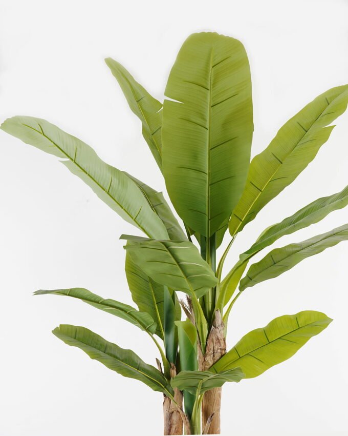 Artificial Tree 53*53*190cm Banana tree *3 in PP pot/18 lvs GS-30423080 Tree&Plant YeahFlower is one of Chinese leading OEM manufacturers and exporters , supplying the silk flowers, wholesale artificial trees