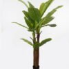 Artificial Tree Banana tree 3 in PP pot 21 lvs GS-30423081KD Artificial Tree 97*97*220cm Banana tree *3 in PP pot/21 lvs GS-30423081KD Tree&Plant YeahFlower is one of Chinese leading OEM manufacturers and exporters , supplying the silk flowers, wholesale artificial trees