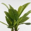Artificial Tree Banana tree 3 in PP pot 21 lvs GS-30423081KD_1 Artificial Tree 97*97*220cm Banana tree *3 in PP pot/21 lvs GS-30423081KD Tree&Plant YeahFlower is one of Chinese leading OEM manufacturers and exporters , supplying the silk flowers, wholesale artificial trees
