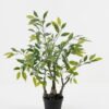 Artificial Tree Banian tree in PP pot 275 lvs GS-30423082 Artificial Tree 40*20*65cm Banian tree in PP pot/275 lvs GS-30423082 Tree&Plant YeahFlower is one of Chinese leading OEM manufacturers and exporters , supplying the silk flowers, wholesale artificial trees