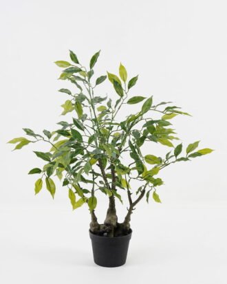 Artificial Tree 40*20*65cm Banian tree in PP pot/275 lvs GS-30423082 Tree&Plant 3,000+ sqm showroom with thousands of artificial flowers, plants & trees ready for global sourcing.