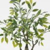Artificial Tree Banian tree in PP pot 275 lvs GS-30423082_1 Artificial Tree 40*20*65cm Banian tree in PP pot/275 lvs GS-30423082 Tree&Plant YeahFlower is one of Chinese leading OEM manufacturers and exporters , supplying the silk flowers, wholesale artificial trees