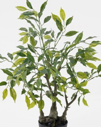 Artificial Tree 40*20*65cm Banian tree in PP pot/275 lvs GS-30423082 Tree&Plant 3,000+ sqm showroom with thousands of artificial flowers, plants & trees ready for global sourcing.