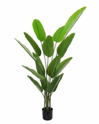 Artificial Tree 86*150cm Canna *5 in PP pot/15 lvs GS-66423007CONTI Tree&Plant 3,000+ sqm showroom with thousands of artificial flowers, plants & trees ready for global sourcing.