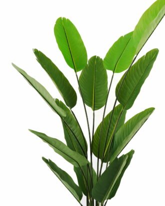 Artificial Tree 86*150cm Canna *5 in PP pot/15 lvs GS-66423007CONTI Tree&Plant 3,000+ sqm showroom with thousands of artificial flowers, plants & trees ready for global sourcing.