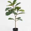 Artificial Tree 35*35*87cm Ficus tree *2 in PP pot GS-69423074 Tree&Plant YeahFlower is one of Chinese leading OEM manufacturers and exporters , supplying the silk flowers, wholesale artificial trees
