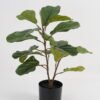 Artificial Tree Ficus tree 2 in PP pot GS-69423077_4 Artificial Tree 30*30*57cm Ficus tree *2 in PP pot GS-69423077 Tree&Plant YeahFlower is one of Chinese leading OEM manufacturers and exporters , supplying the silk flowers, wholesale artificial trees