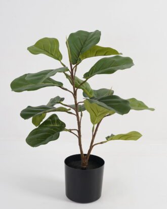 Artificial Tree 30*30*57cm Ficus tree *2 in PP pot GS-69423077 Tree&Plant 3,000+ sqm showroom with thousands of artificial flowers, plants & trees ready for global sourcing.