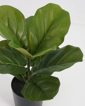 Artificial Tree 25*25*30cm Ficus tree in PP pot GS-69423076 Tree&Plant 3,000+ sqm showroom with thousands of artificial flowers, plants & trees ready for global sourcing.