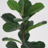 Artificial Tree 28*34*62 Ficus tree in PP pot GS-69423079 Tree&Plant YeahFlower is one of Chinese leading OEM manufacturers and exporters , supplying the silk flowers, wholesale artificial trees