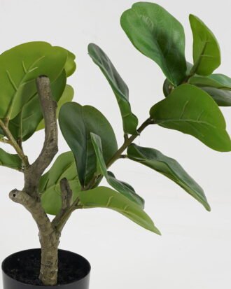 Artificial Tree  GS-46723029CONTI Tree&Plant 3,000+ sqm showroom with thousands of artificial flowers, plants & trees ready for global sourcing.