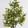Artificial Tree 52*52*115cm Lemon tree in PP pot GS-69423080 Tree&Plant YeahFlower is one of Chinese leading OEM manufacturers and exporters , supplying the silk flowers, wholesale artificial trees