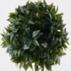 Artificial Tree Myrcia tree in PP pot GS-69423001-R_1 Artificial Tree 40*40*120cm Myrcia tree in PP pot GS-69423001-R Tree&Plant YeahFlower is one of Chinese leading OEM manufacturers and exporters , supplying the silk flowers, wholesale artificial trees