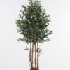 Artificial Tree 57*57*151cm Olive *4 in PP pot /lvs 1584 GS-30623008-R Tree&Plant YeahFlower is one of Chinese leading OEM manufacturers and exporters , supplying the silk flowers, wholesale artificial trees