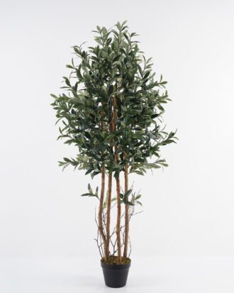 Artificial Tree 57*57*151cm Olive *4 in PP pot /lvs 1584 GS-30623008-R Tree&Plant 3,000+ sqm showroom with thousands of artificial flowers, plants & trees ready for global sourcing.