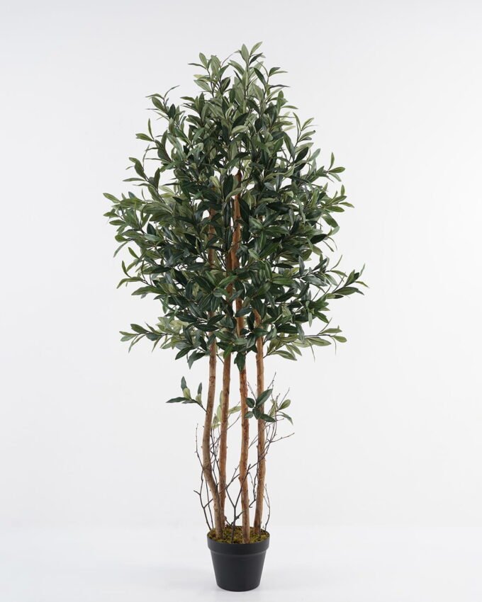 Artificial Tree 57*57*151cm Olive *4 in PP pot /lvs 1584 GS-30623008-R Tree&Plant YeahFlower is one of Chinese leading OEM manufacturers and exporters , supplying the silk flowers, wholesale artificial trees