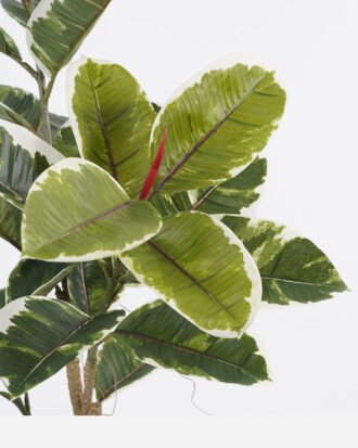 Artificial Tree 55*55*89cm Rubber tree *3 in PP pot GS-69423066 Tree&Plant 3,000+ sqm showroom with thousands of artificial flowers, plants & trees ready for global sourcing.