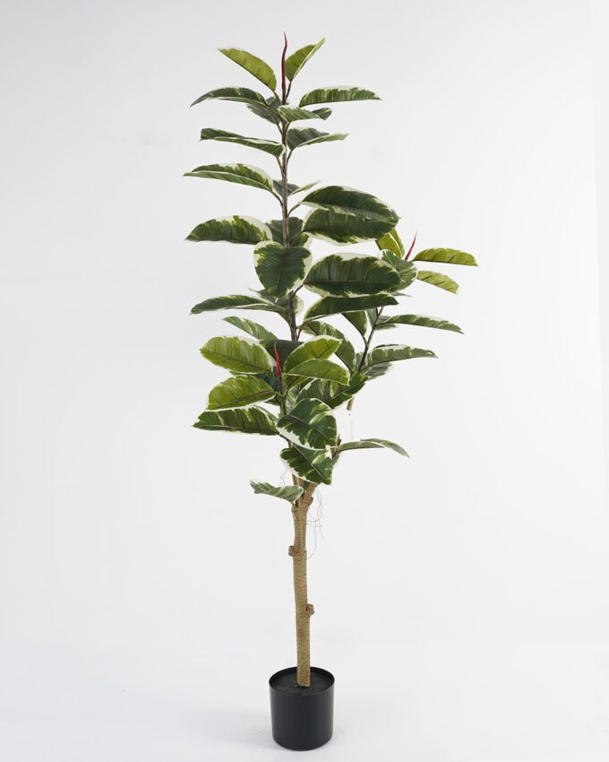 Artificial Tree 60*60*158cm Rubber tree *3 in PP pot GS-69423069 Tree&Plant YeahFlower is one of Chinese leading OEM manufacturers and exporters , supplying the silk flowers, wholesale artificial trees
