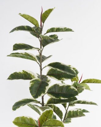 Artificial Tree 60*60*158cm Rubber tree *3 in PP pot GS-69423069 Tree&Plant 3,000+ sqm showroom with thousands of artificial flowers, plants & trees ready for global sourcing.