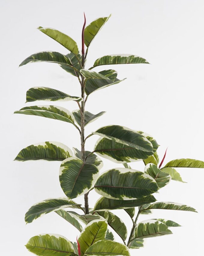 Artificial Tree 60*60*158cm Rubber tree *3 in PP pot GS-69423069 Tree&Plant YeahFlower is one of Chinese leading OEM manufacturers and exporters , supplying the silk flowers, wholesale artificial trees