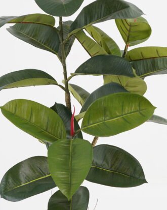 Artificial Tree 50*40*90cm Rubber tree *3 in PP pot GS-69423073 Tree&Plant 3,000+ sqm showroom with thousands of artificial flowers, plants & trees ready for global sourcing.