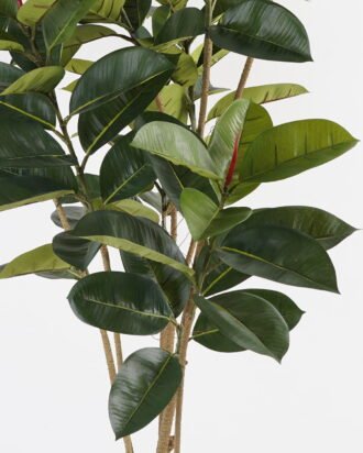 Artificial Tree 50*50*156cm Rubber tree *6 in PP pot GS-69423071 Tree&Plant 3,000+ sqm showroom with thousands of artificial flowers, plants & trees ready for global sourcing.