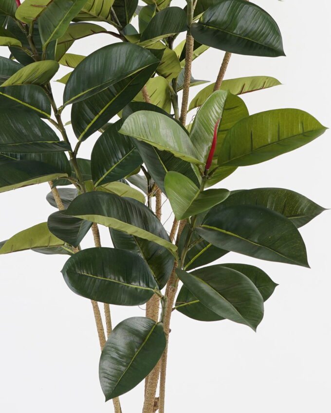 Artificial Tree Rubber tree 6 in PP pot GS-69423071_4 Artificial Tree 50*50*156cm Rubber tree *6 in PP pot GS-69423071 Tree&Plant YeahFlower is one of Chinese leading OEM manufacturers and exporters , supplying the silk flowers, wholesale artificial trees