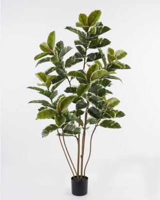 Artificial Tree 50*50*156cm Rubber tree *6 in PP pot GS-69423081 Tree&Plant 3,000+ sqm showroom with thousands of artificial flowers, plants & trees ready for global sourcing.