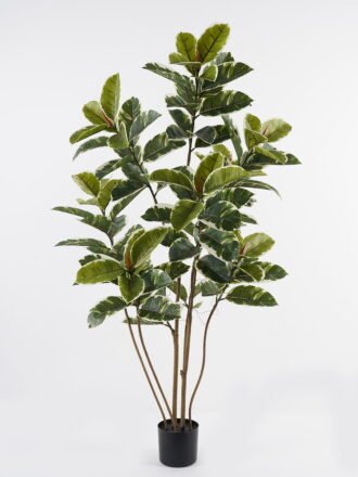 Artificial Tree 70*70*150cm Tree in PP pot/15 lvs GS-66423010CONTI Tree&Plant 3,000+ sqm showroom with thousands of artificial flowers, plants & trees ready for global sourcing.