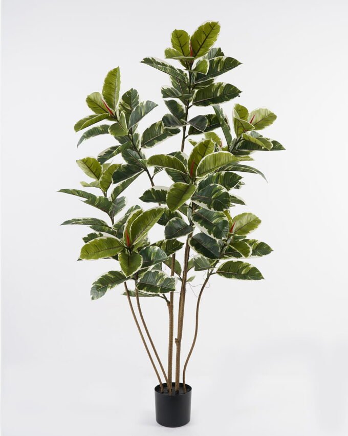 Artificial Tree 50*50*156cm Rubber tree *6 in PP pot GS-69423081 Tree&Plant YeahFlower is one of Chinese leading OEM manufacturers and exporters , supplying the silk flowers, wholesale artificial trees