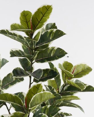 Artificial Tree 50*50*156cm Rubber tree *6 in PP pot GS-69423081 Tree&Plant 3,000+ sqm showroom with thousands of artificial flowers, plants & trees ready for global sourcing.