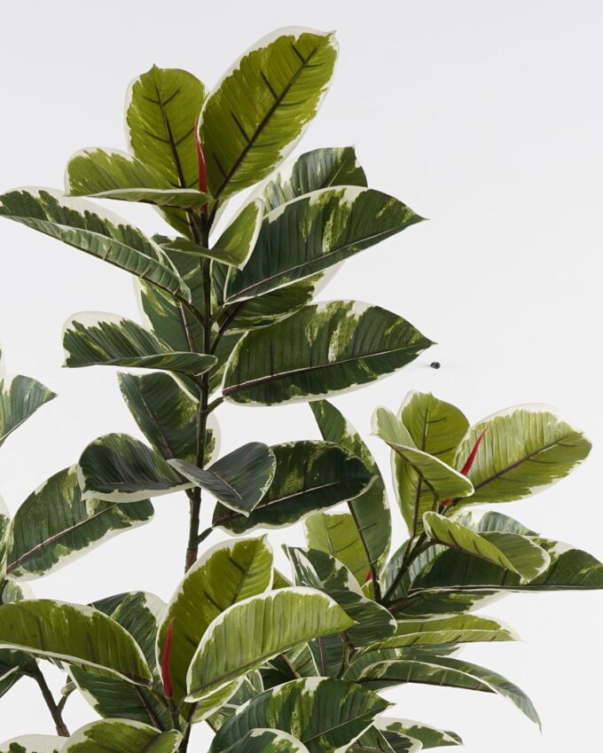 Artificial Tree 50*50*156cm Rubber tree *6 in PP pot GS-69423081 Tree&Plant YeahFlower is one of Chinese leading OEM manufacturers and exporters , supplying the silk flowers, wholesale artificial trees