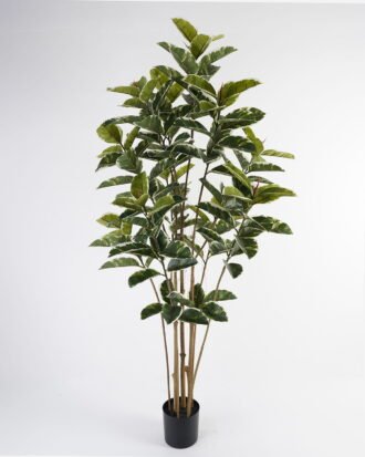 Artificial Tree 70*70*185cm Rubber tree *8 in PP pot GS-69423065 Tree&Plant 3,000+ sqm showroom with thousands of artificial flowers, plants & trees ready for global sourcing.