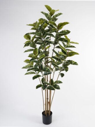 Artificial Tree 55*55*89cm Rubber tree *3 in PP pot GS-69423066 Tree&Plant 3,000+ sqm showroom with thousands of artificial flowers, plants & trees ready for global sourcing.