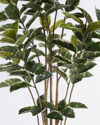 Artificial Tree 70*70*185cm Rubber tree *8 in PP pot GS-69423065 Tree&Plant 3,000+ sqm showroom with thousands of artificial flowers, plants & trees ready for global sourcing.
