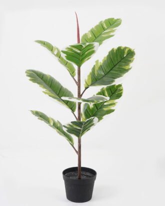 Artificial Tree 43*43*70cm Rubber tree in PP pot/9 lvs GS-30423084 Tree&Plant 3,000+ sqm showroom with thousands of artificial flowers, plants & trees ready for global sourcing.