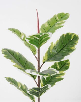 Artificial Tree 43*43*70cm Rubber tree in PP pot/9 lvs GS-30423084 Tree&Plant 3,000+ sqm showroom with thousands of artificial flowers, plants & trees ready for global sourcing.