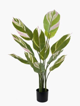 Artificial Tree 84*84*150cm White jade beauty in PP pot/15 lvs GS-66423019CONTI Tree&Plant 3,000+ sqm showroom with thousands of artificial flowers, plants & trees ready for global sourcing.