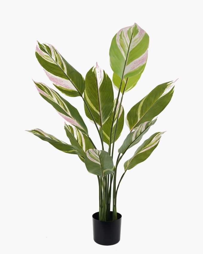 Artificial Tree 70*70*118cm Tree in PP pot/12 lvs GS-66423017CONTI Tree&Plant YeahFlower is one of Chinese leading OEM manufacturers and exporters , supplying the silk flowers, wholesale artificial trees