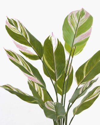 Artificial Tree 70*70*118cm Tree in PP pot/12 lvs GS-66423017CONTI Tree&Plant 3,000+ sqm showroom with thousands of artificial flowers, plants & trees ready for global sourcing.