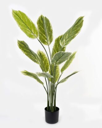 Artificial Tree 70*70*116cm Tree in PP pot/12 lvs GS-66423026CONTI Tree&Plant 3,000+ sqm showroom with thousands of artificial flowers, plants & trees ready for global sourcing.