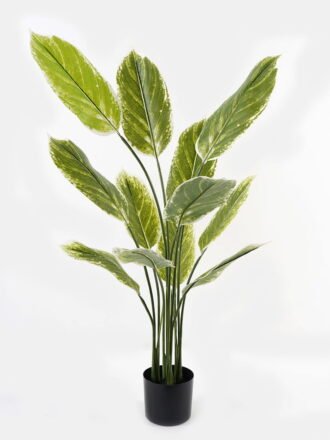 Artificial Tree 70*70*120cm Tree in PP pot/12 lvs GS-66423029CONTI Tree&Plant 3,000+ sqm showroom with thousands of artificial flowers, plants & trees ready for global sourcing.