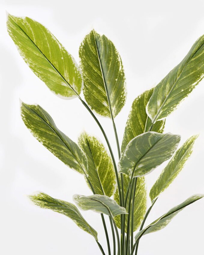 Artificial Tree 70*70*116cm Tree in PP pot/12 lvs GS-66423026CONTI Tree&Plant YeahFlower is one of Chinese leading OEM manufacturers and exporters , supplying the silk flowers, wholesale artificial trees