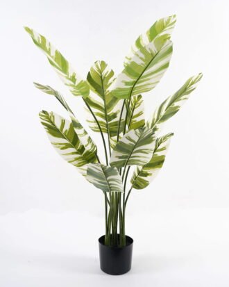 Artificial Tree 70*70*120cm Tree in PP pot/12 lvs GS-66423029CONTI Tree&Plant 3,000+ sqm showroom with thousands of artificial flowers, plants & trees ready for global sourcing.